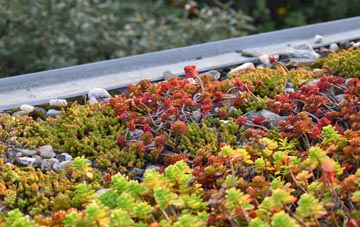 the cost of Everdon green roof installation