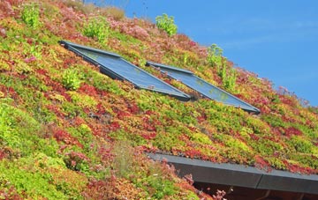 Everdon living roof systems